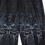 Apricale Gothic Cyberpunk Sheer Leggings