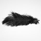 Epitaph Victorian Gothic Feather Rose Top Hat