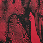 Jason's Edge - Punk A-Line Skirt - PunkRave