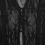 Algol Gothic Lace Sheer Long Top