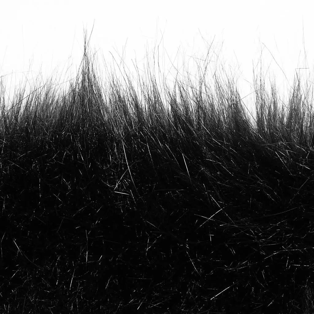 The Glacial Castle Coat - PunkRave