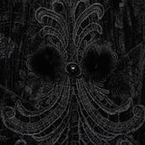 Narcissa Gothic Lace Velvet Dress