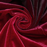 Aethon Gothic Lace Velvet Dress