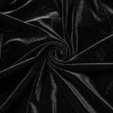 Taxus Gothic Lace Velvet Vampiric Long Dress