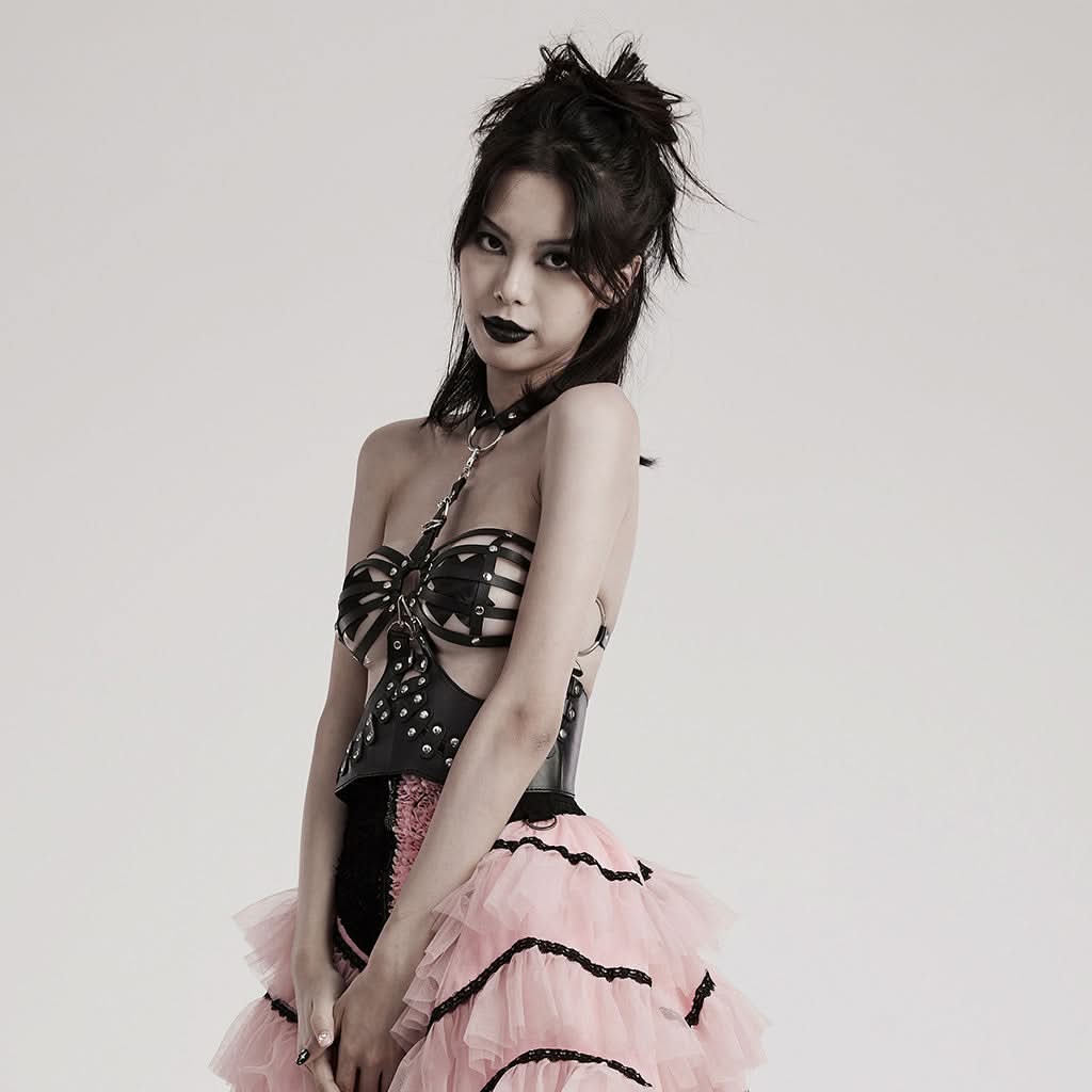 Vampires and Vixens PU Corset with a Choker - PunkRave